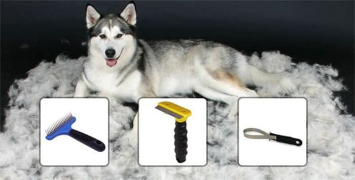 brosses pour Husky