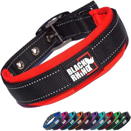 mejor collar para Husky