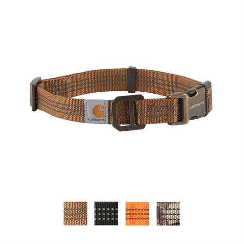 mejor collar para Husky