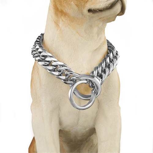 meilleur collier pour Husky