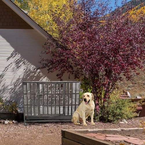 10 Beste bench voor Husky