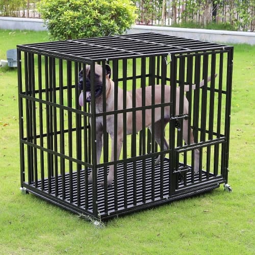 10 Best Crate for Husky