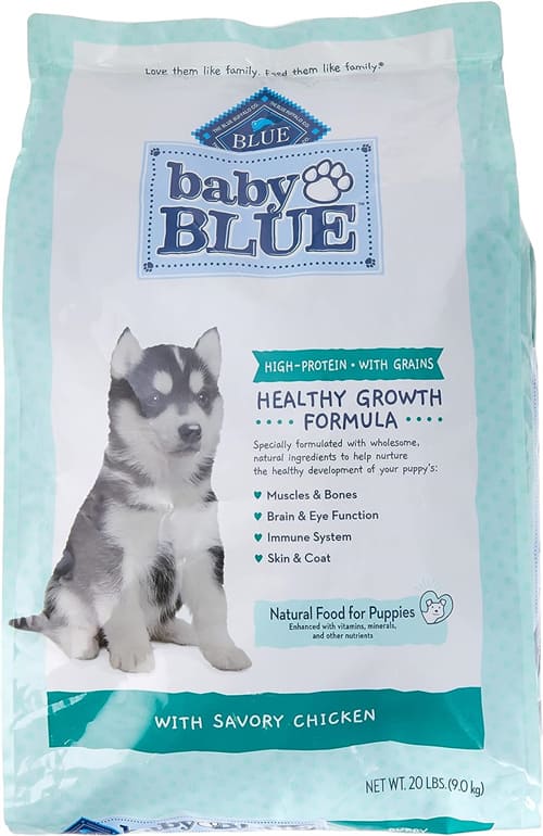 10 Best foods for husky puppies