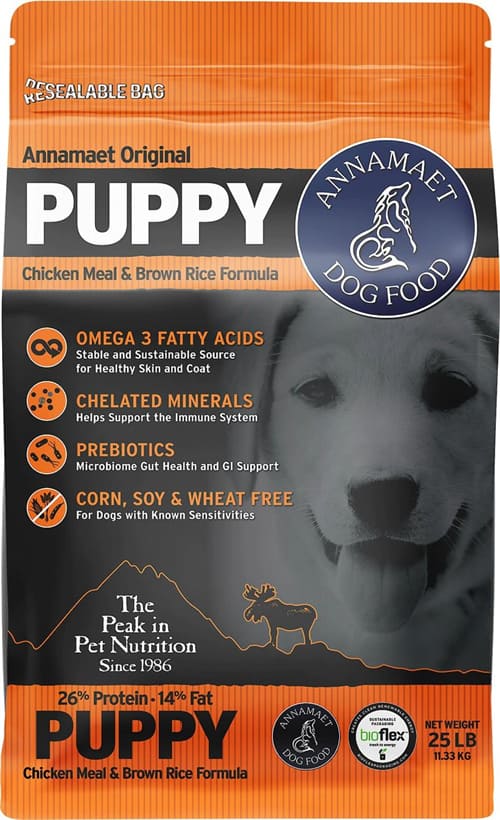 10 Best foods for husky puppies