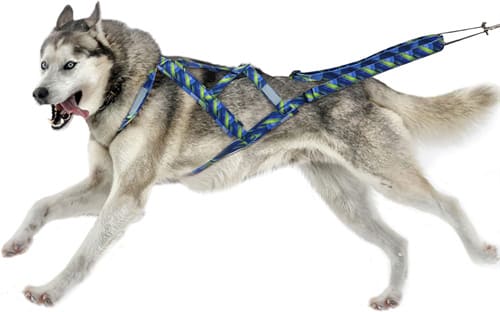 Melhor arnês para Husky