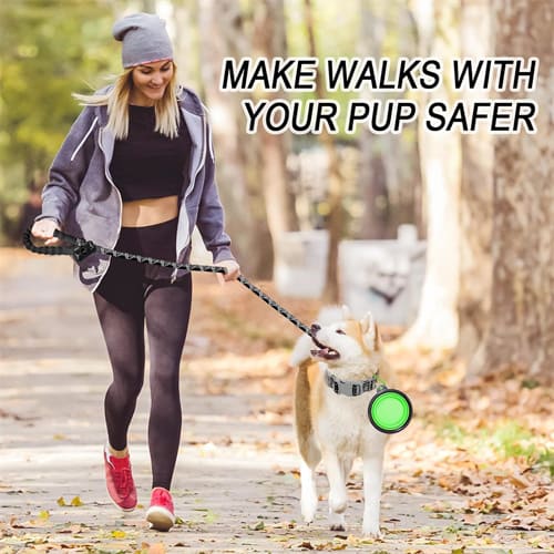 10 best leashes for husky