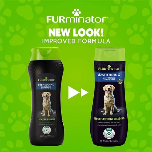 Bestes Shampoo für Huskys