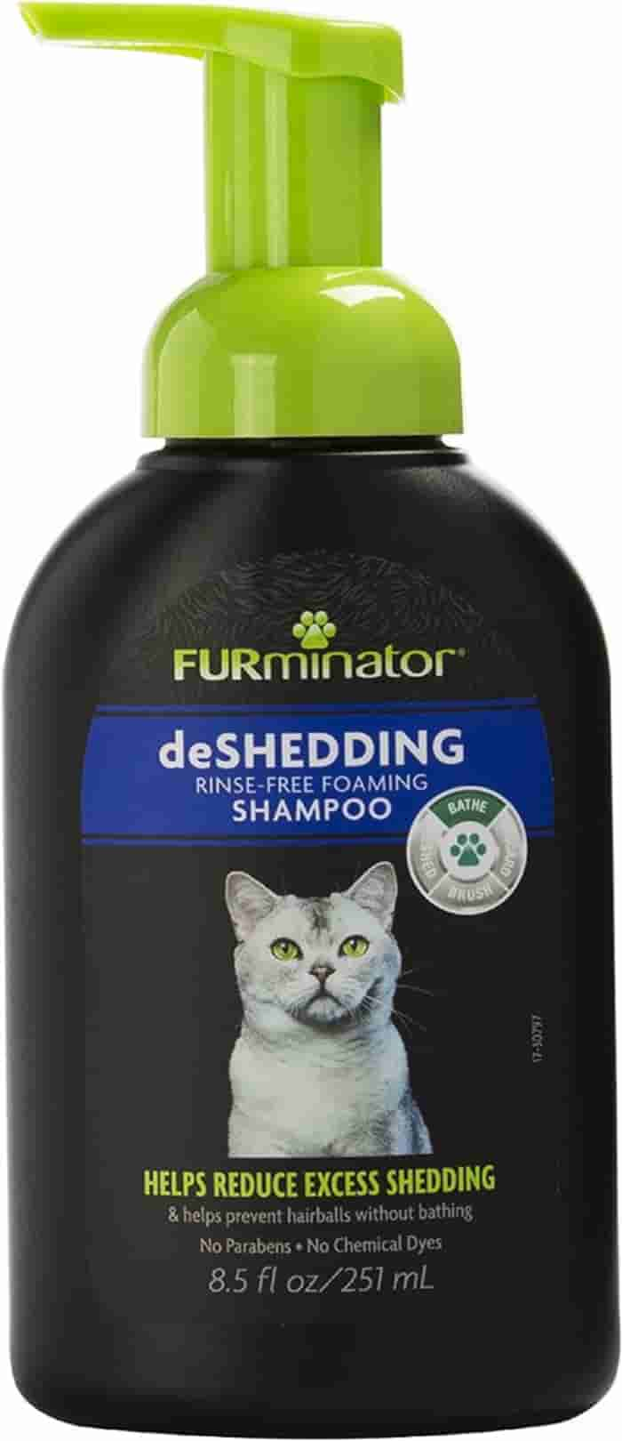 6 meilleurs shampooings secs pour chats