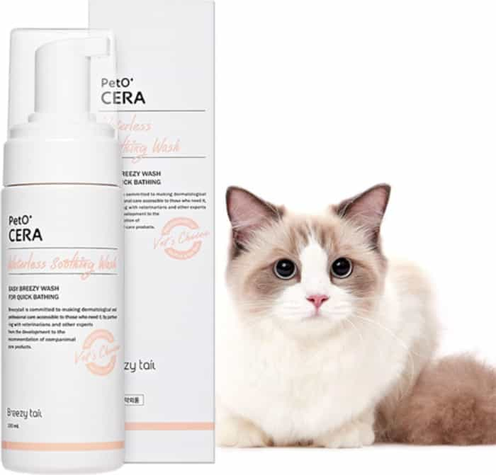 6 Migliori shampoo a secco per gatti