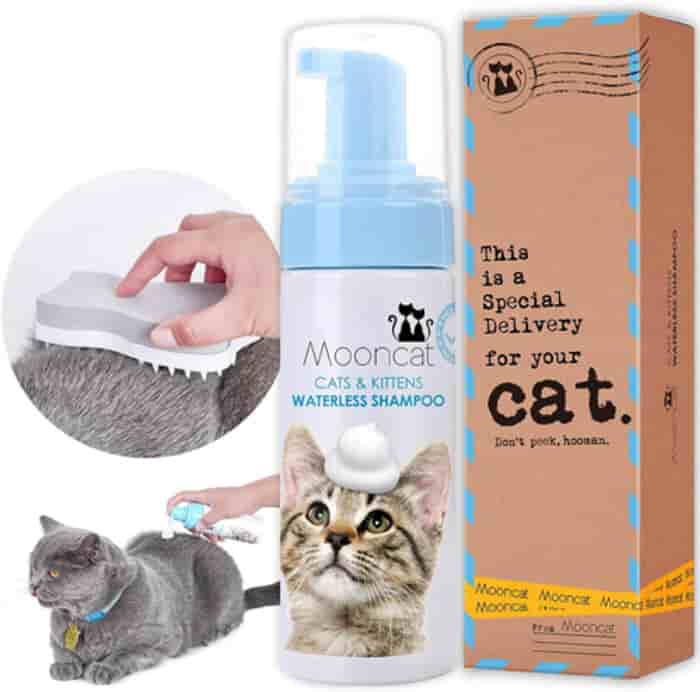 6 Beste droogshampoo voor katten