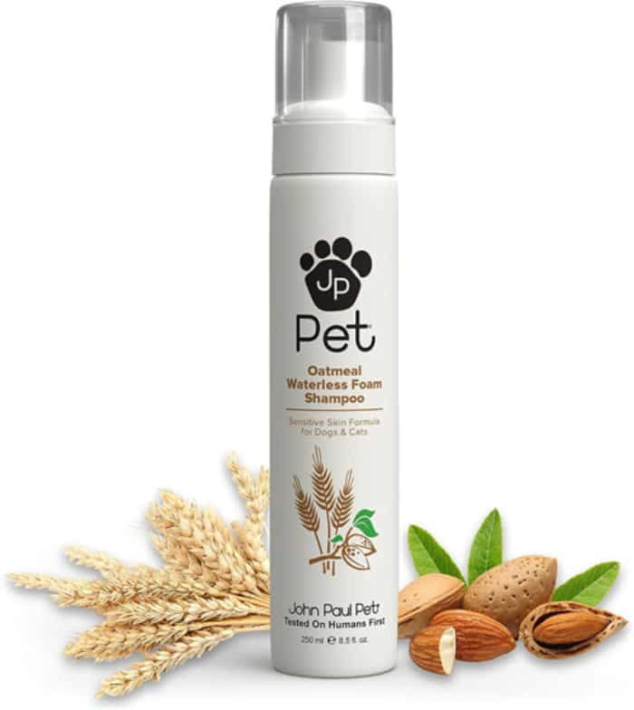 6 Best dry Shampoo for cats