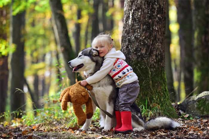 Are Siberian huskies good with kids