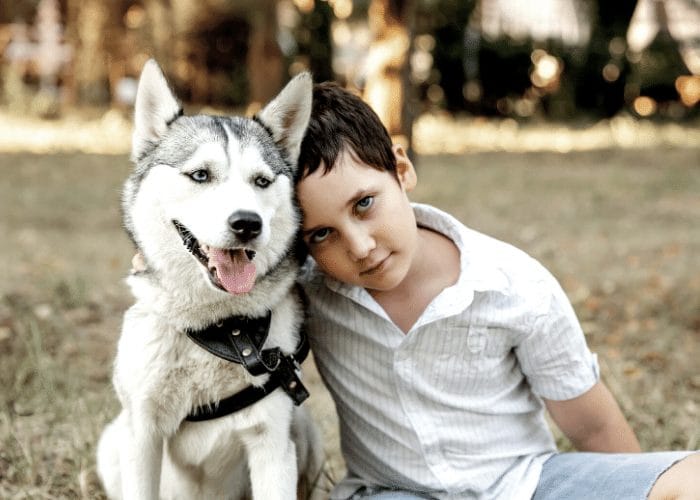 Are Siberian huskies good with kids