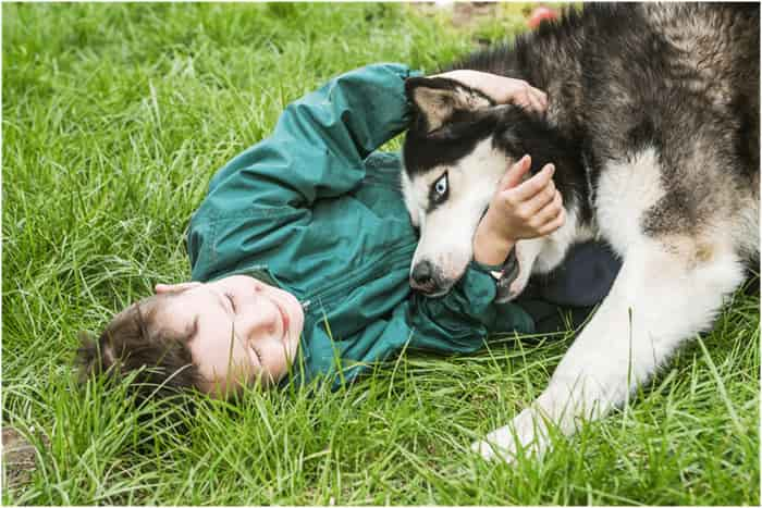 Are Siberian huskies good with kids