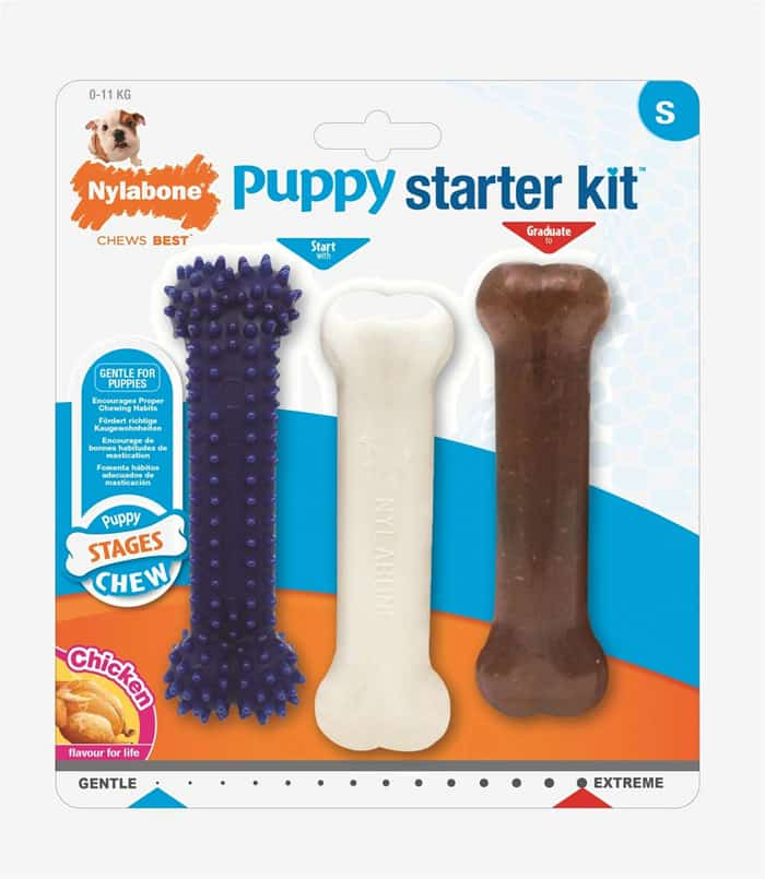 Brinquedos Nylabone para cães