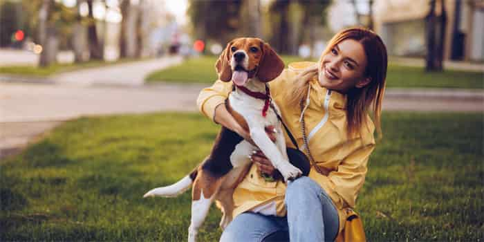 犬の首輪の締め付け