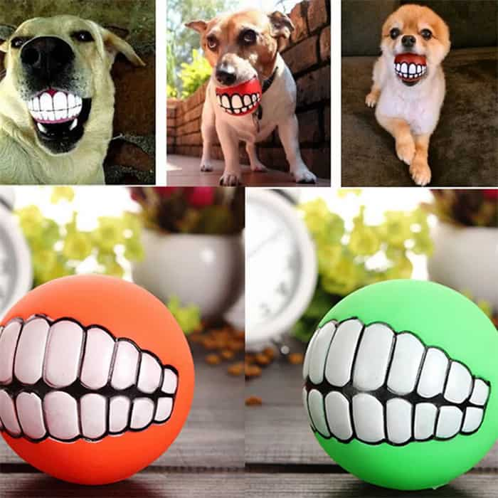 Hund Lächeln Ball