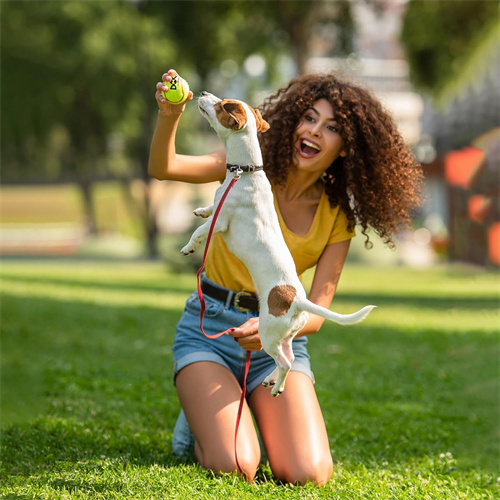 BEST DOG SMILE ball