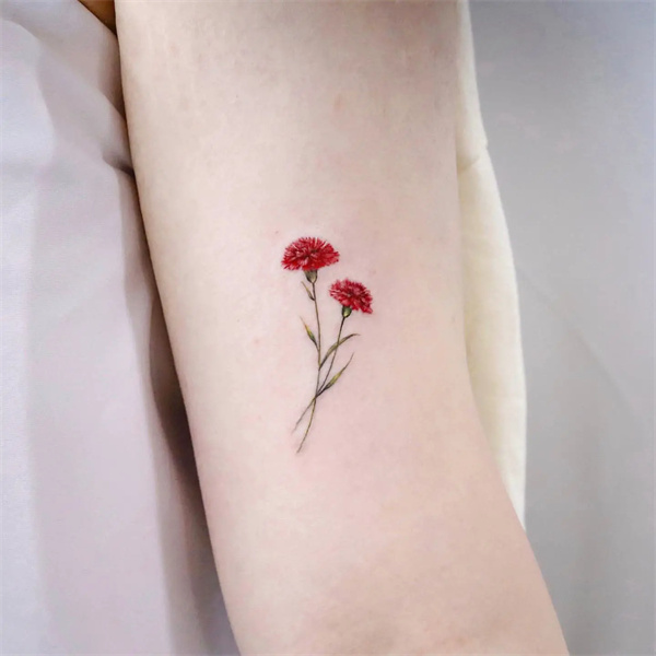 Tatuaje de un clavel rojo