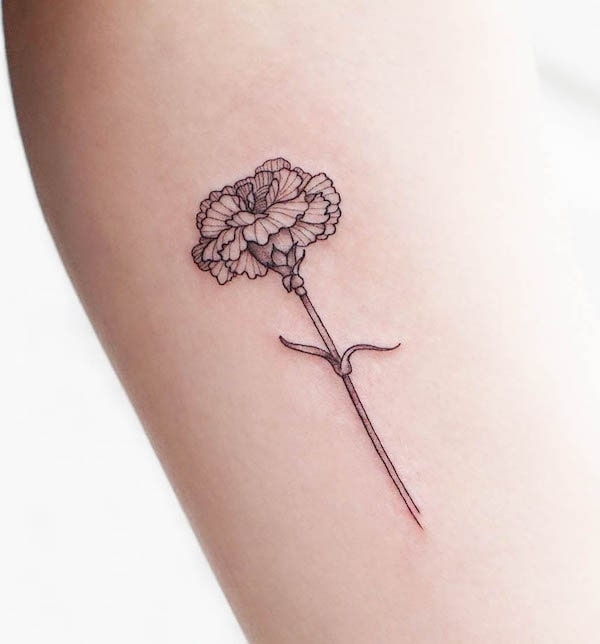 Simple carnation tattoo