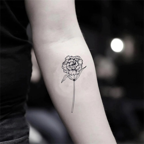 Carnation Tattoo