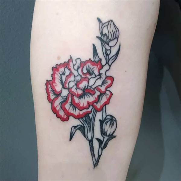 Traditional carnation tattoo2