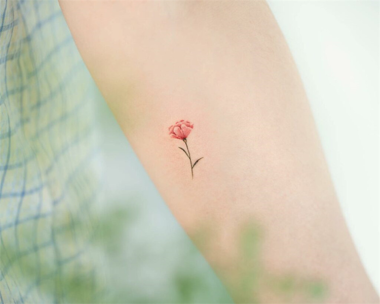 Carnation Tattoo