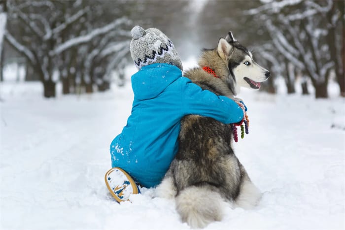 Är Huskies bra med barn