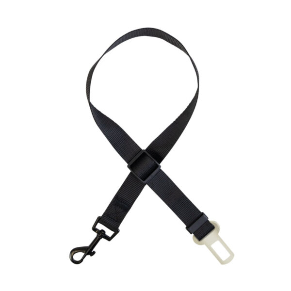 Ceinture de sécurité pour chiens